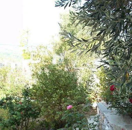 Galanos